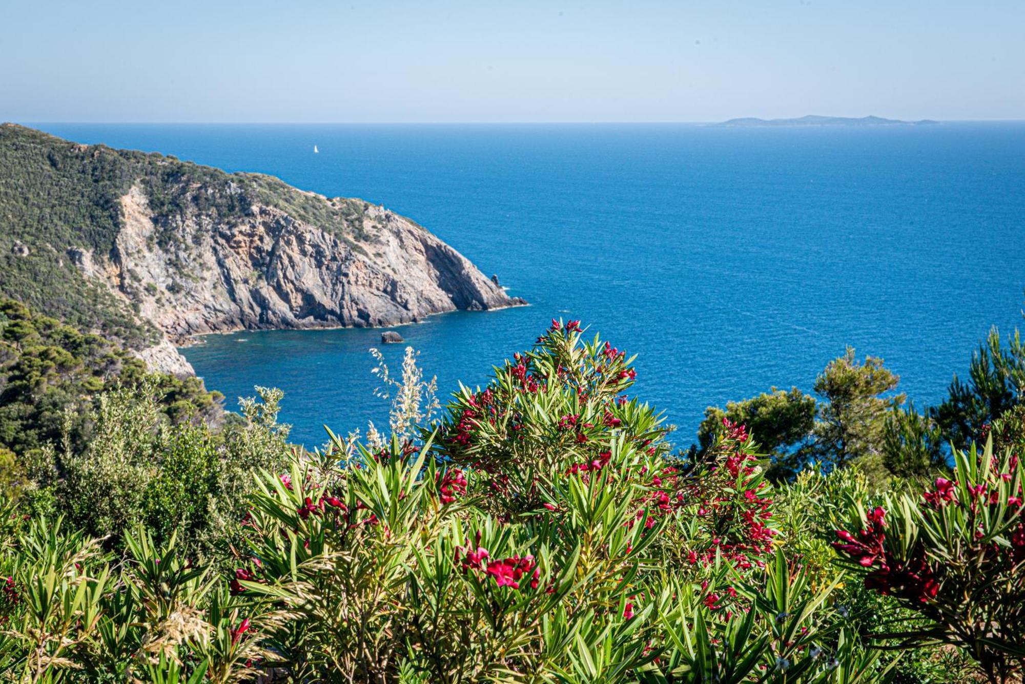 Boutique Hotel Torre Di Cala Piccola Porto Santo Stefano  Eksteriør billede